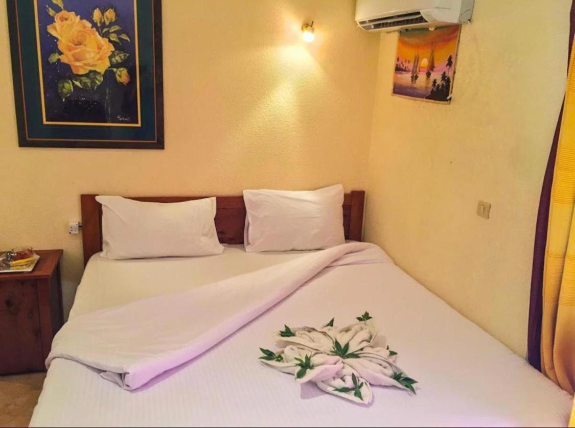Golden Europe Hotel Dahab Zewnętrze zdjęcie